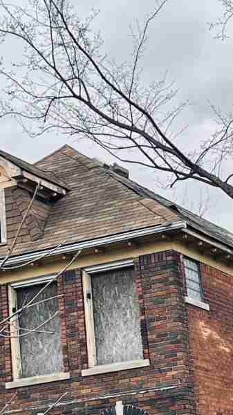 4519267_0012 (2).jpg